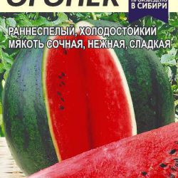 АРБУЗ АЛЫЙ СЛАДКИЙ – семена для Урала и Сибири! Купить в Челябинске оптом ив розницу!